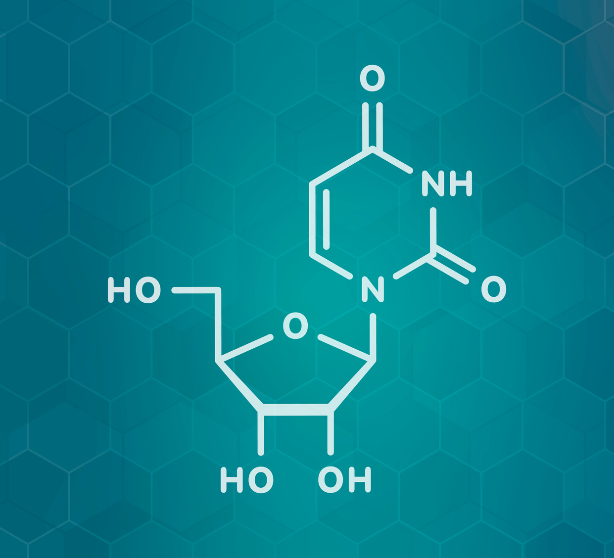 Uridine nucleoside molecule, illustration